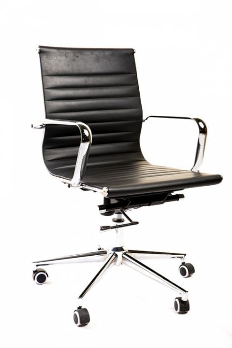 Medium-Back-Leather-Kenya